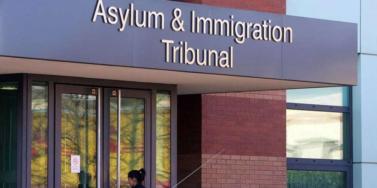 How to Build a Strong Asylum Case: Insights from Immigration Solicitors4me