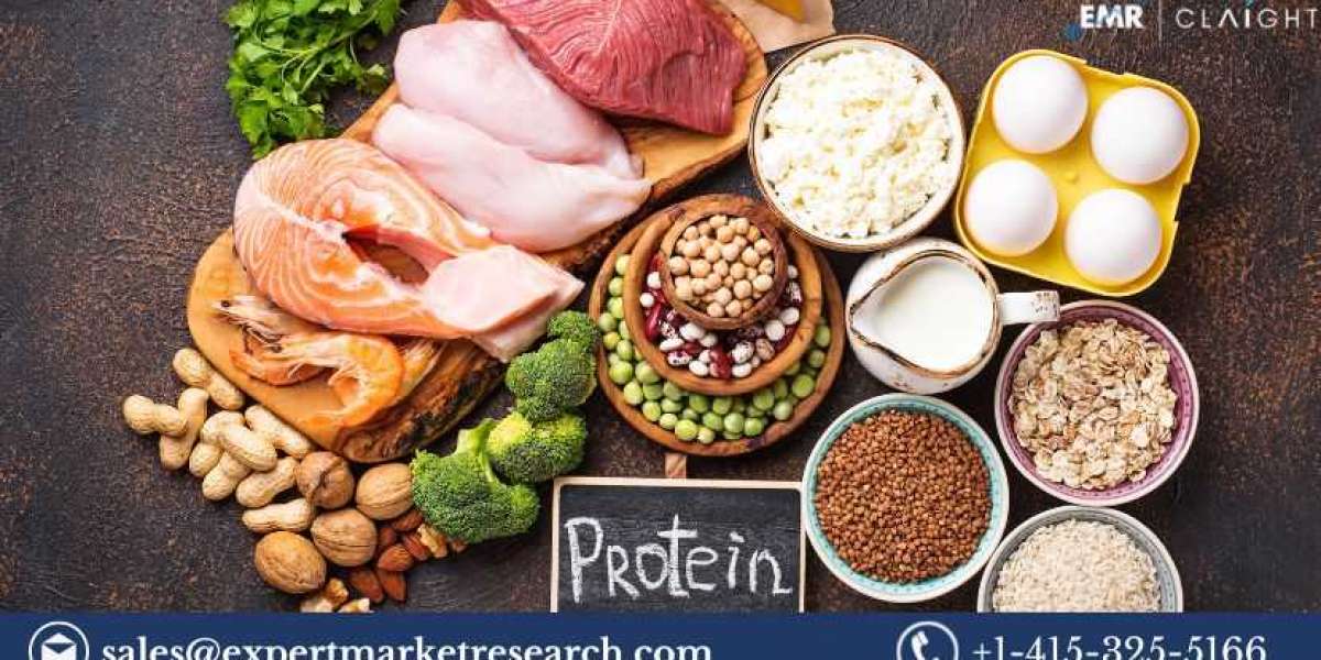 Protein Ingredients Market Size, Share & Trends 2025-2034