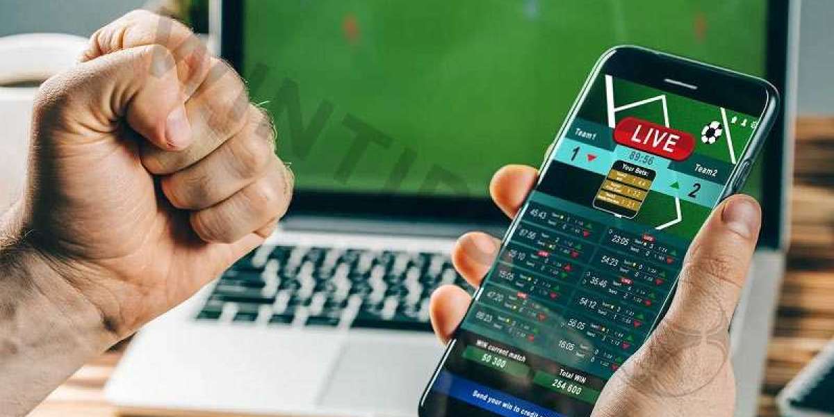 Understanding Football Betting Odds – A Beginner’s Guide from Wintips