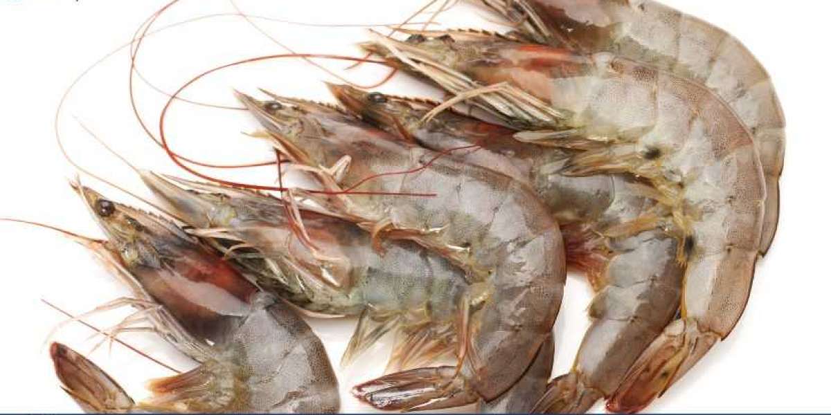 United States Shrimp Market Analysis, Size, Share and Report | 2034