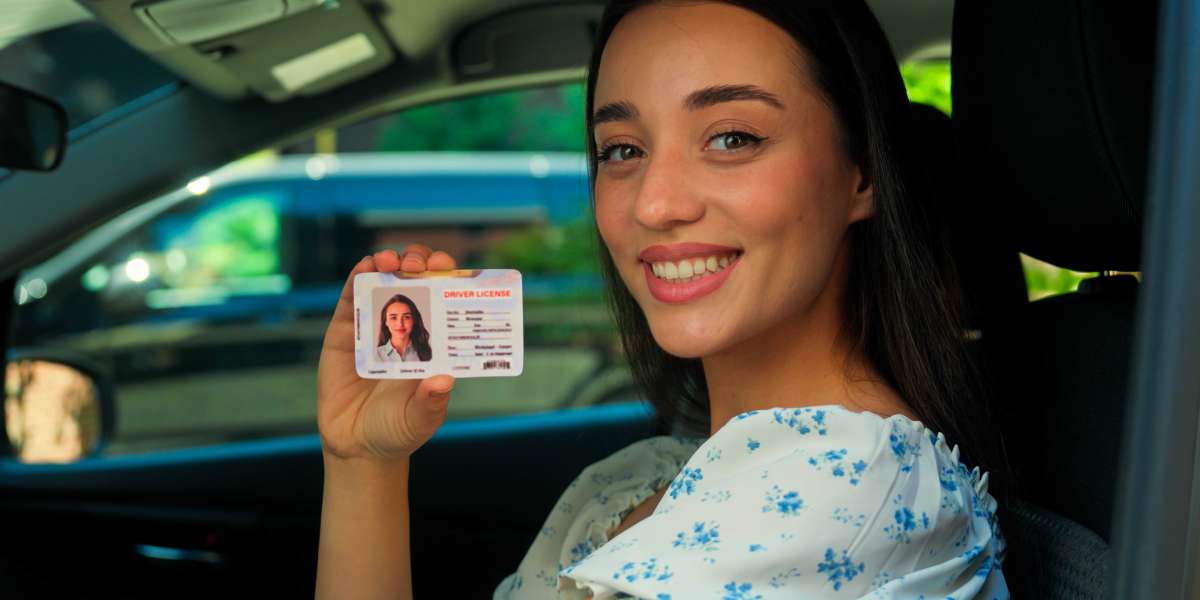 Guide To Online Licence: The Intermediate Guide To Online Licence