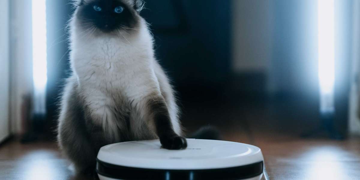 What's The Job Market For Smart Robot Professionals?