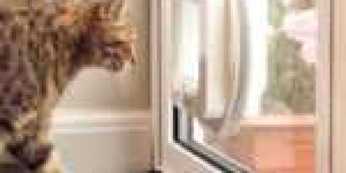 16 Must-Follow Instagram Pages For Quick Cat Flap Installation-Related Businesses