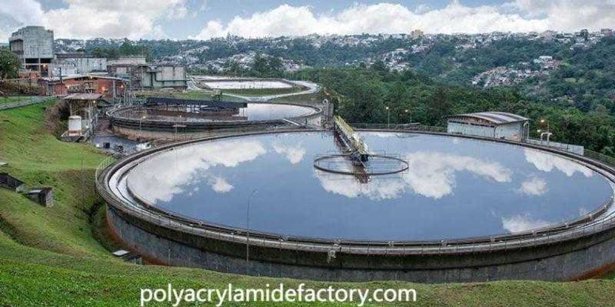 Sustainable Flocculants for Mineral Processing Needs
