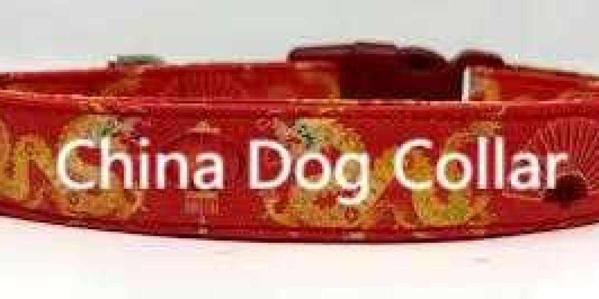 Innovative Collars Built for Everyday Adventures