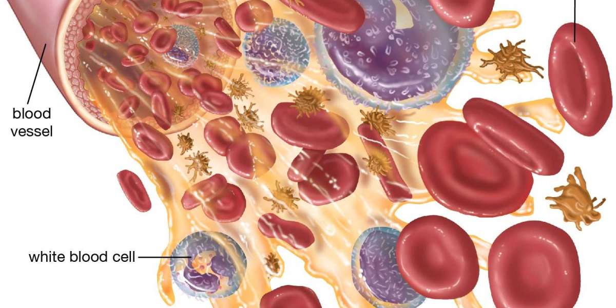 What Foods Help Keep Your White Blood Cells Healthy?