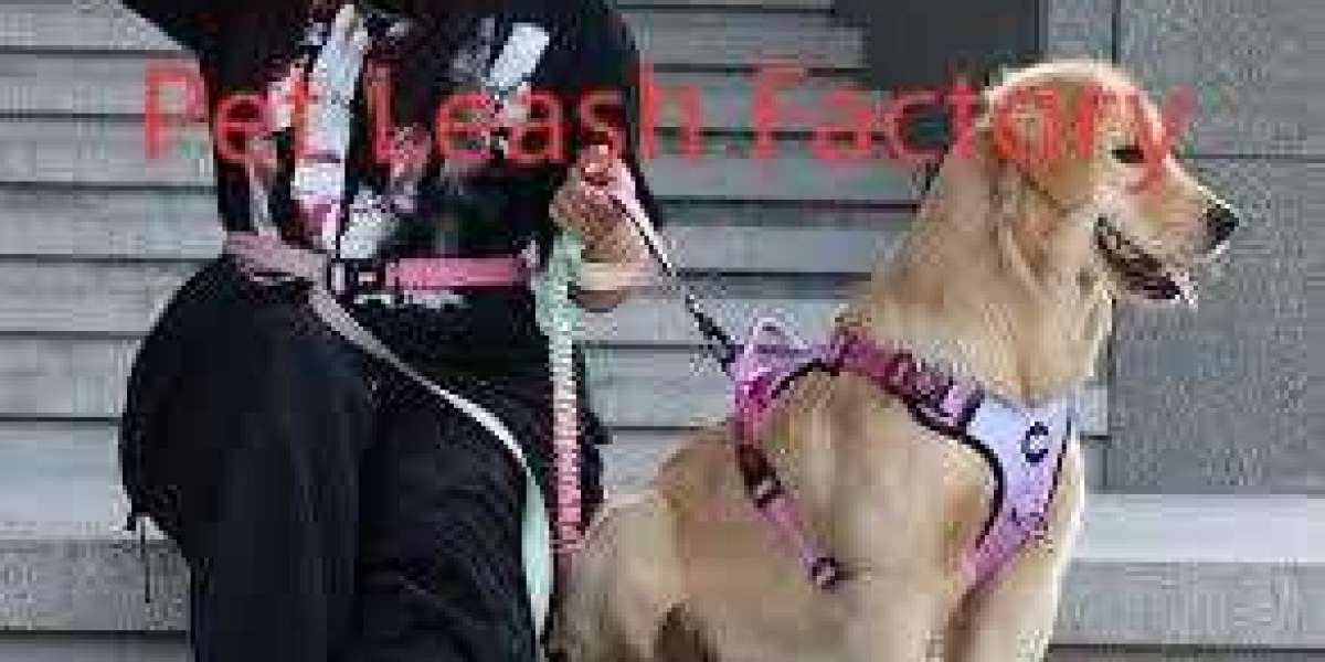 Tallfly Pet Leash Factory: Premium Leashes for Training, Walks, and Adventures