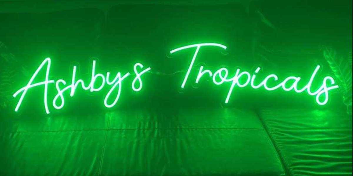 Say It in Lights with Custom Signs Letters from Neon Sign Life"