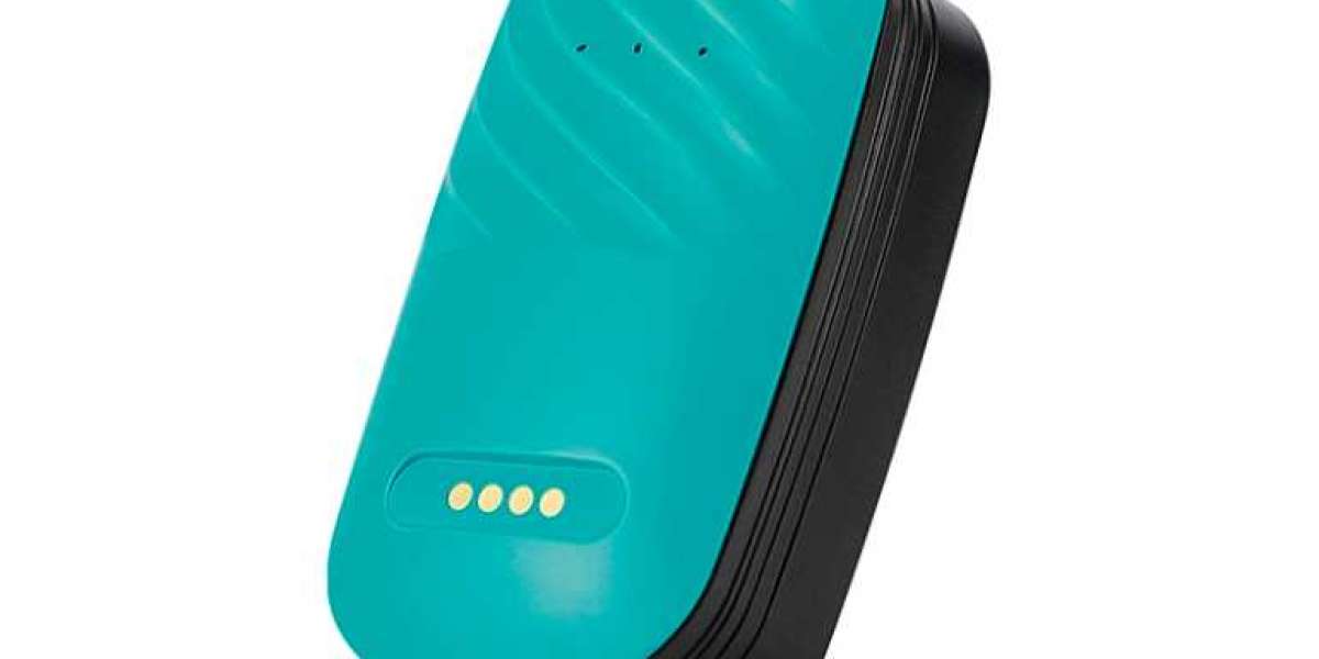 Choose Confidence with a GPS Dog Collar by Purespet