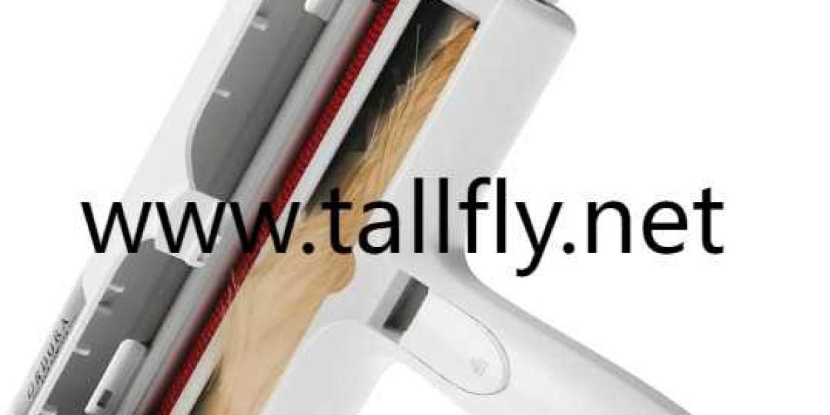 Tallfly Innovations: Enhancing Pet Comfort Through Design