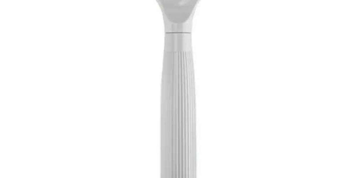 Tallfly China Pet Hair Scraper: Effortlessly Tame Pet Fur