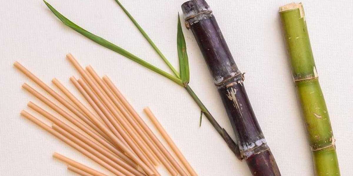 Why Food Businesses Trust Soton Straws for Customization