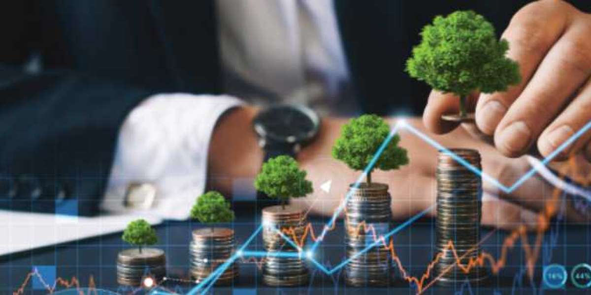 A Calm Mind Builds a Strong Portfolio