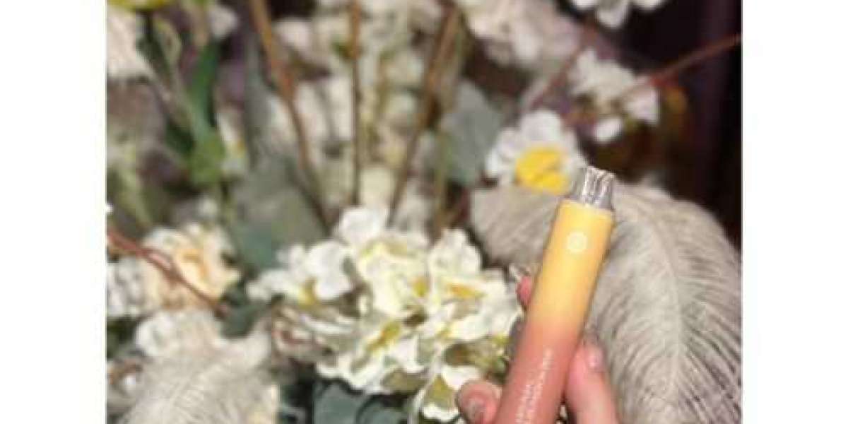 新世代電子煙首選：ILIA主機與煙彈帶來的高品質霧化體驗