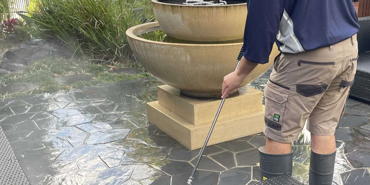 Wise Choices Offers Expert Softwash & Pressure Cleaning Services in Gold Coast