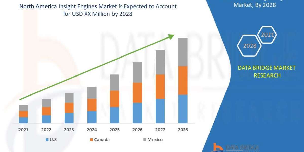 North America Insight Engines Market Size, Share, Trends, Key Drivers, Growth and Opportunity Analysis