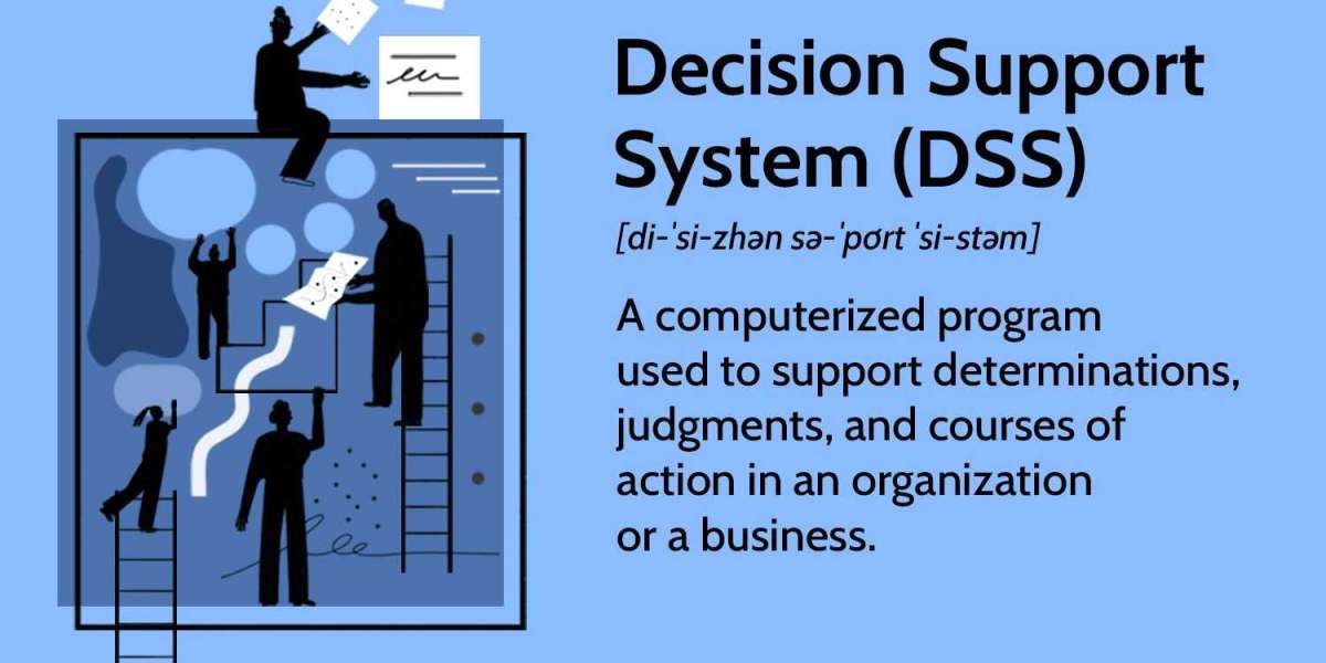 Competitive Landscape in Decision Support System Software