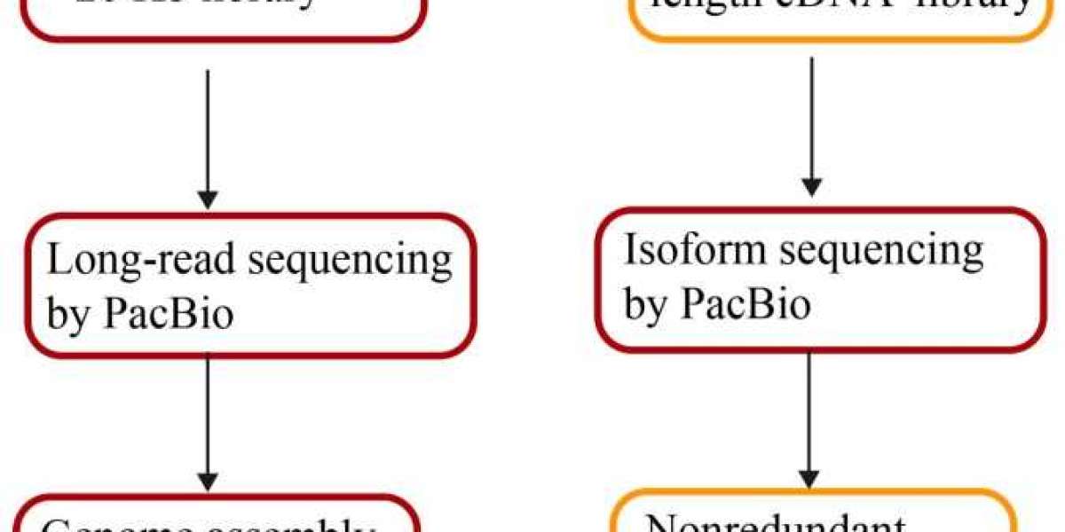 Generate Genome Assemblies Using Long Sequencing Reads