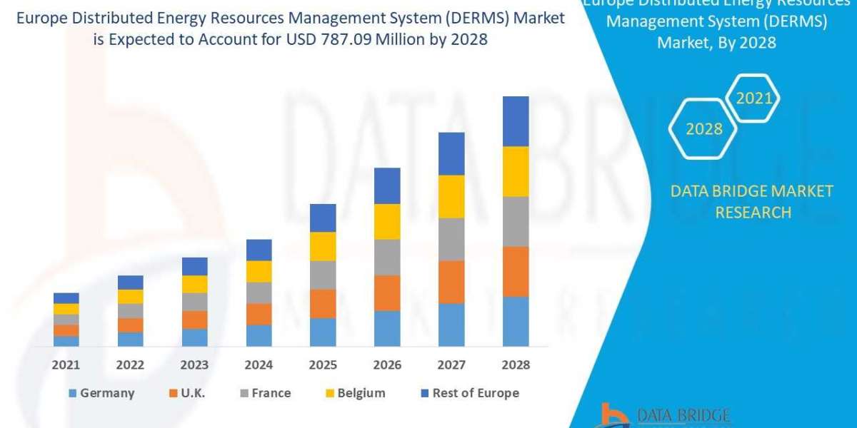 Europe Distributed Energy Resources Management System (DERMS) Market – Brief on growth, key changes, and market directio