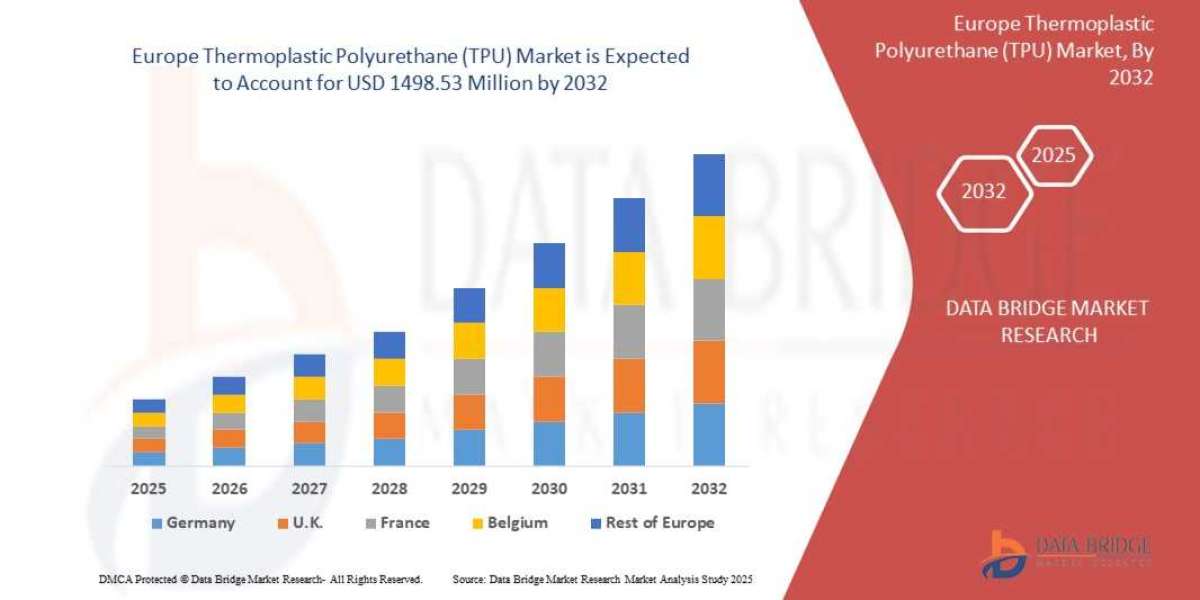 Europe Thermoplastic Polyurethane Market Grows with Advancements in Automotive and Footwear Industries