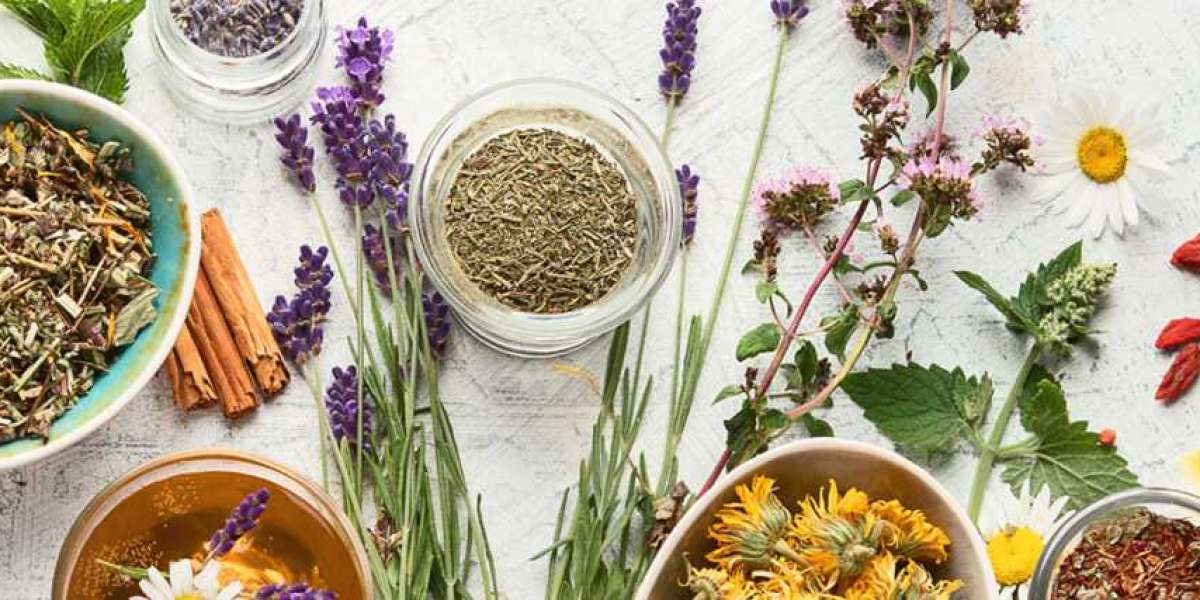 Botanical Flavors Market Size, Share, Trends, Opportunities, Growth- Analysis to 2032
