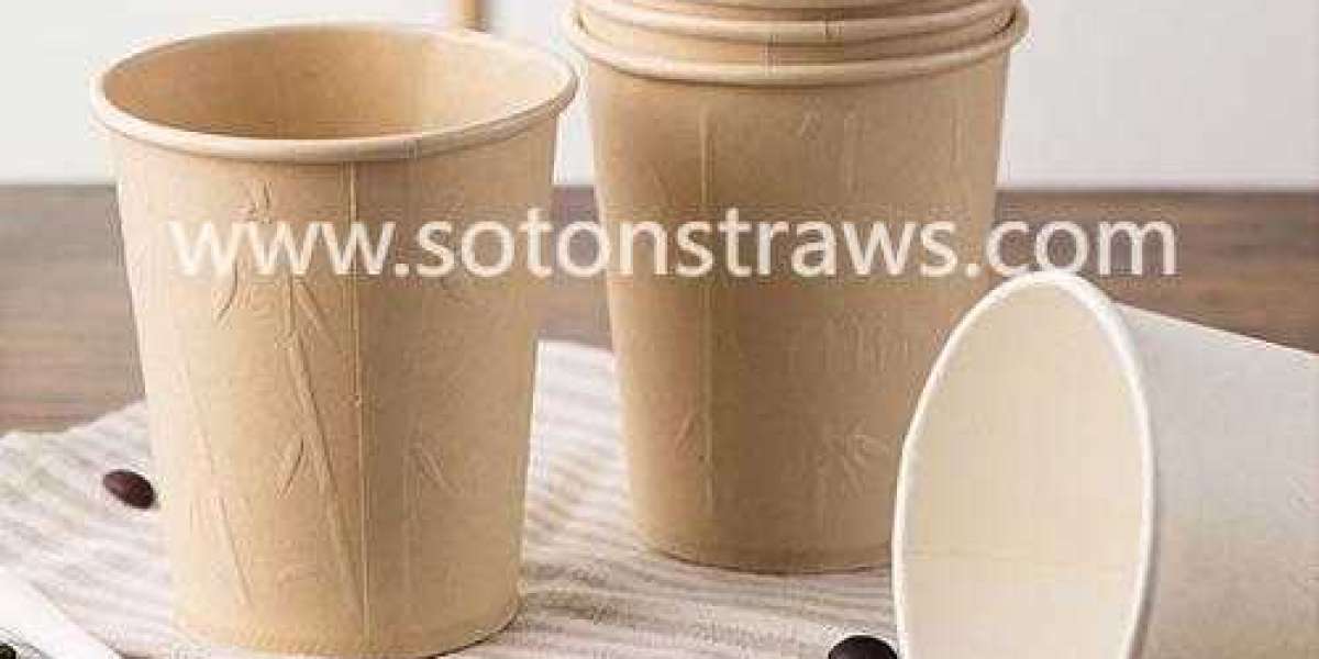 Soton’s Paper Cups for the Transportation Industry’s Green Shift