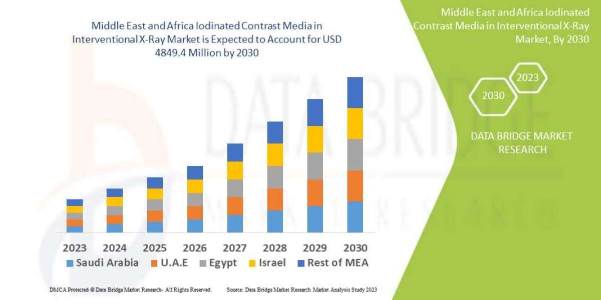 Middle East and Africa Iodinated Contrast Media in Interventional X-Ray Market Size, Share, Trends, Demand, Growth, Chal