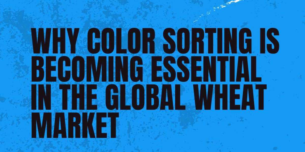 Why Color Sorting Is Becoming Essential in the Global Wheat Market