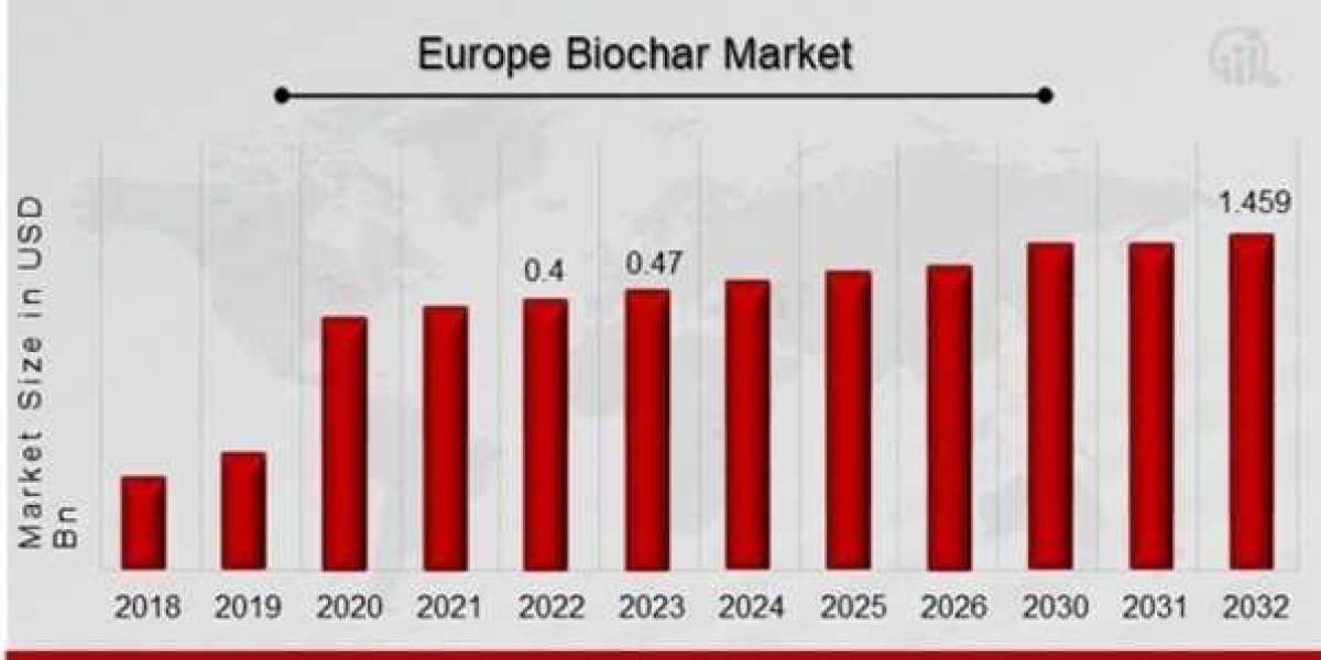Europe Biochar Market Segmentation Overview