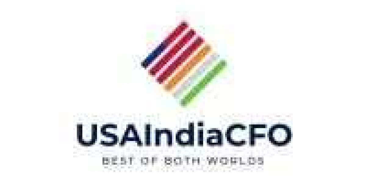 Beginner’s Guide to Virtual CFO Services in the USA: Why Your Business Needs One
