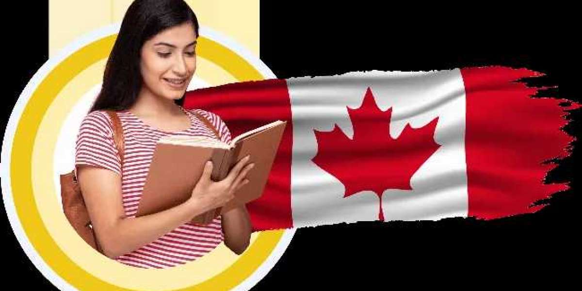 Everything You Need to Know About the Visa for Study in Canada