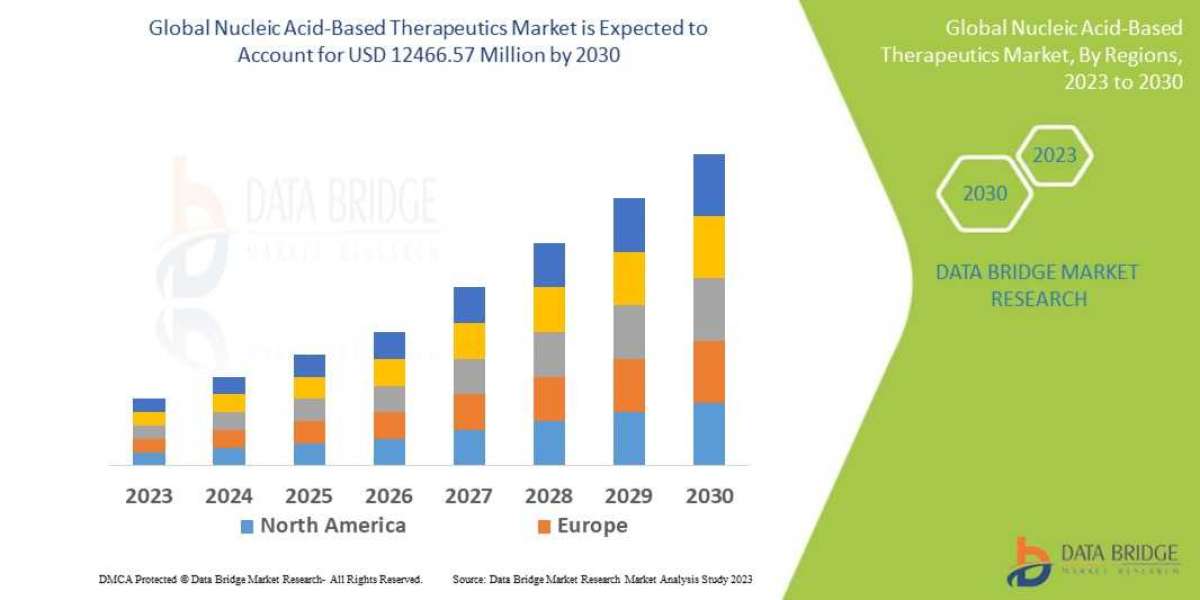 Nucleic Acid-Based Therapeutics Market Growth: Share, Value, Size, Scope, and Insights