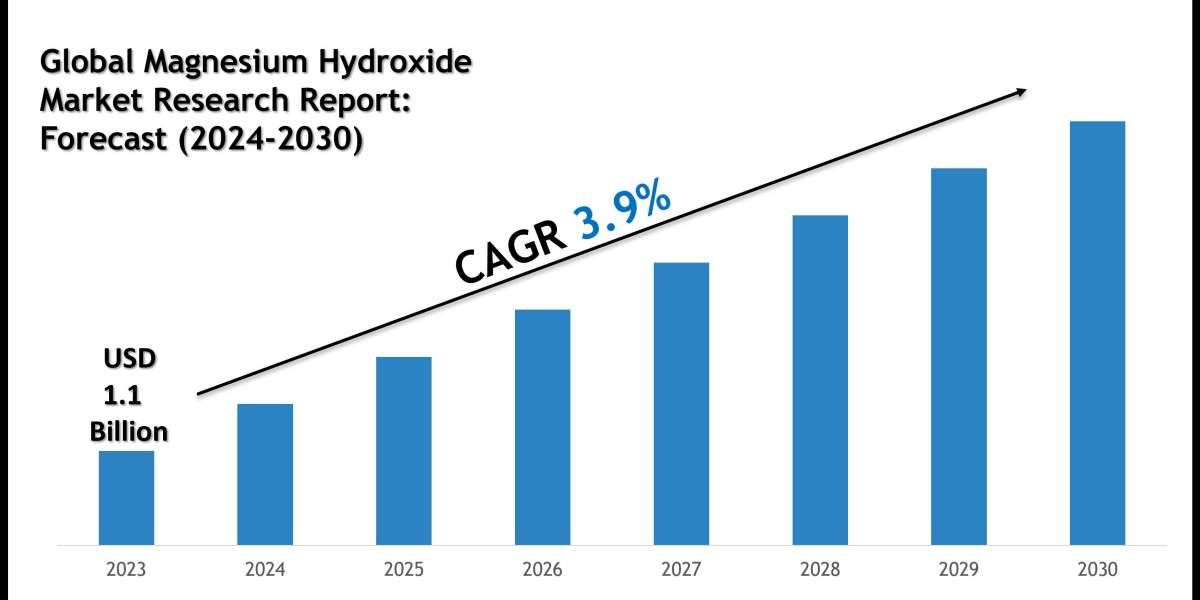 Magnesium Hydroxide Market Executive Summary and Future Trends 2030