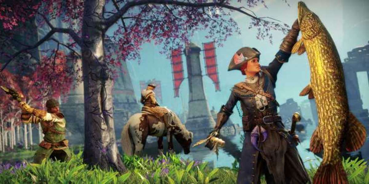 Territory Reputation Guide for New World Gold