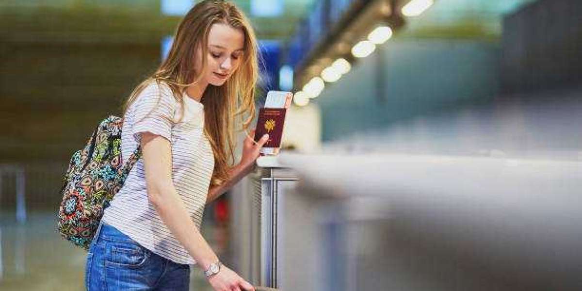 From Application to Approval: Partner Visa 309 with Nexus Help