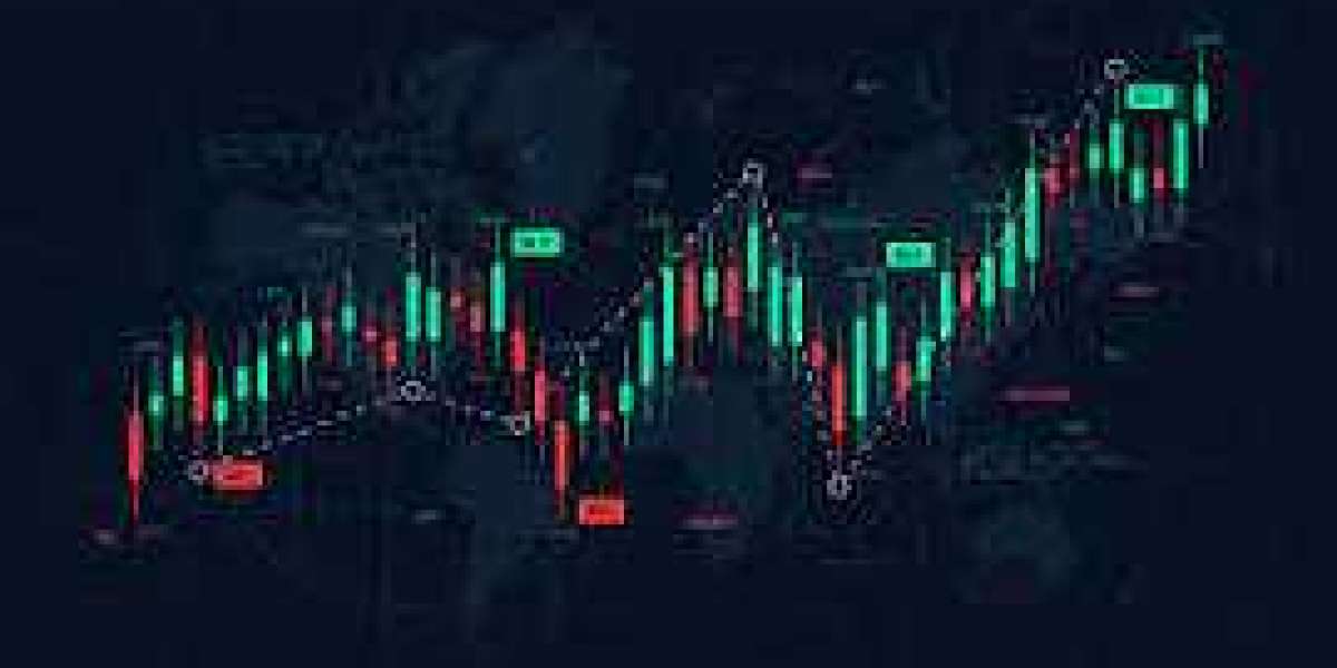 Nifty 50 Today What Traders Should Know