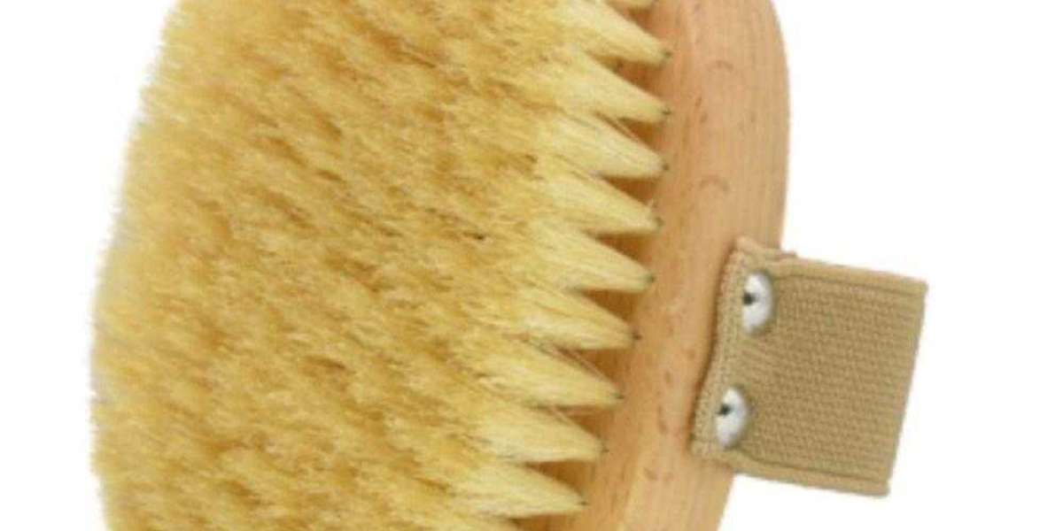 Pawtechpet's Pet Brush: Designed for Pet Comfort and Health