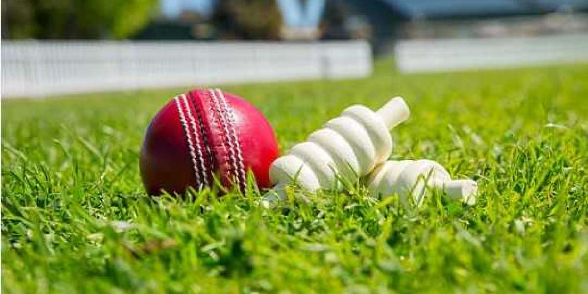 Cricket ID Online Explained: The Secret Behind Big Wins