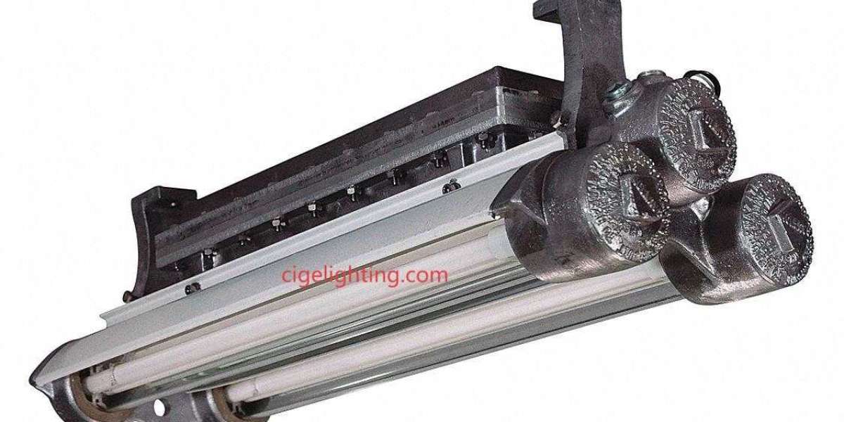 Budget Stability Achieved: Cigelighting 5ft Led Triproof Light