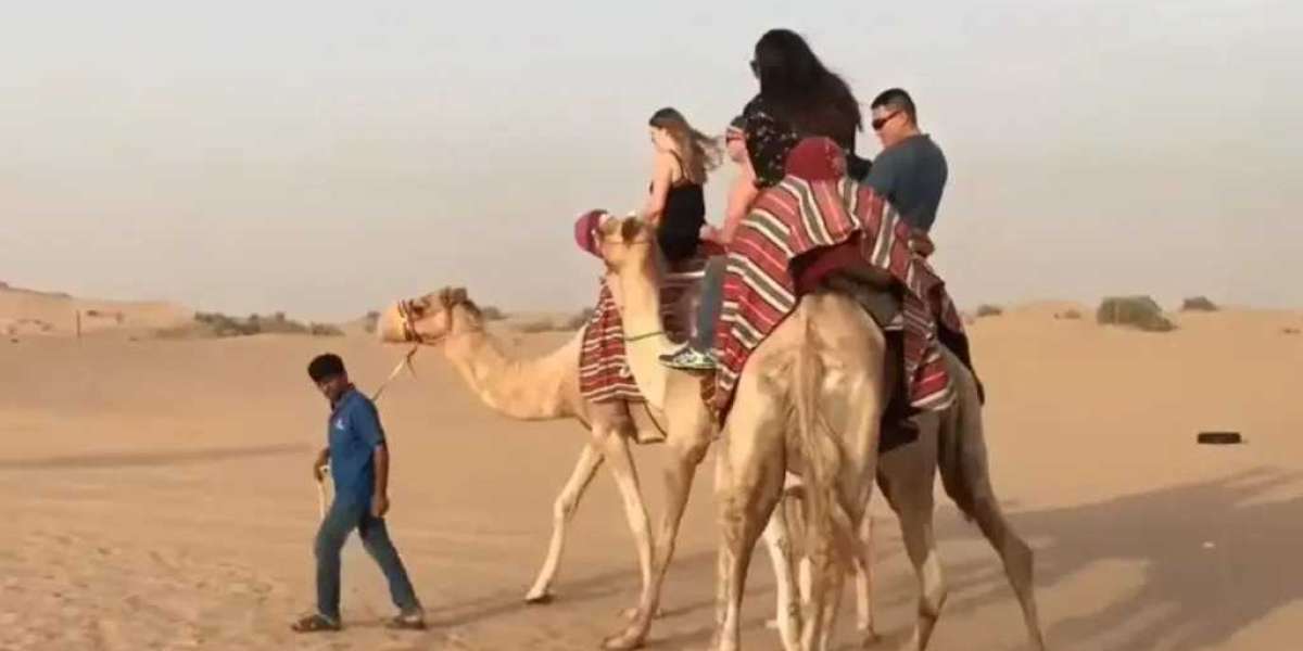 Dubai Desert Safari – Is It Worth the Price?
