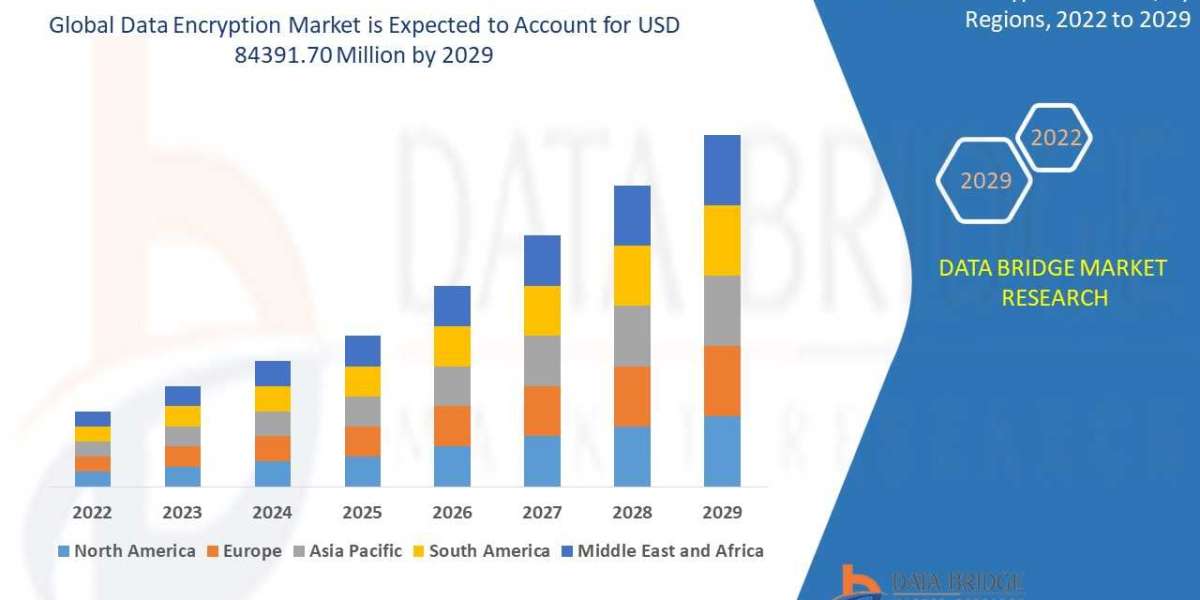 Data Encryption Market Trends: Growth, Share, Value, Size, and Insights