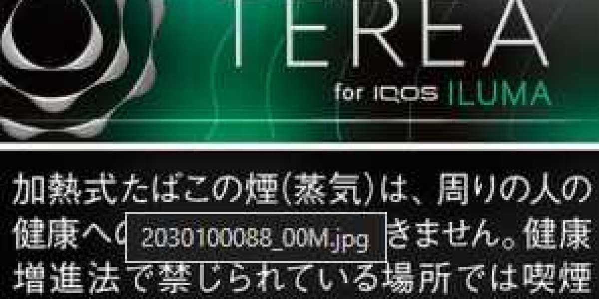 ROVEX 的魅力：探索未來科技的新趨勢