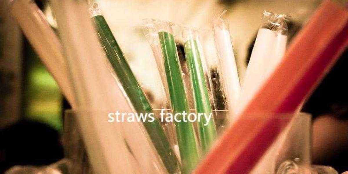 Soton Straws Redefining Everyday Drinking with Eco-Friendly Materials
