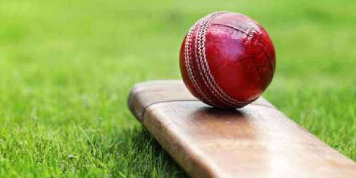 Mahadev Book ID WhatsApp Number – Get Your Betting ID Easily