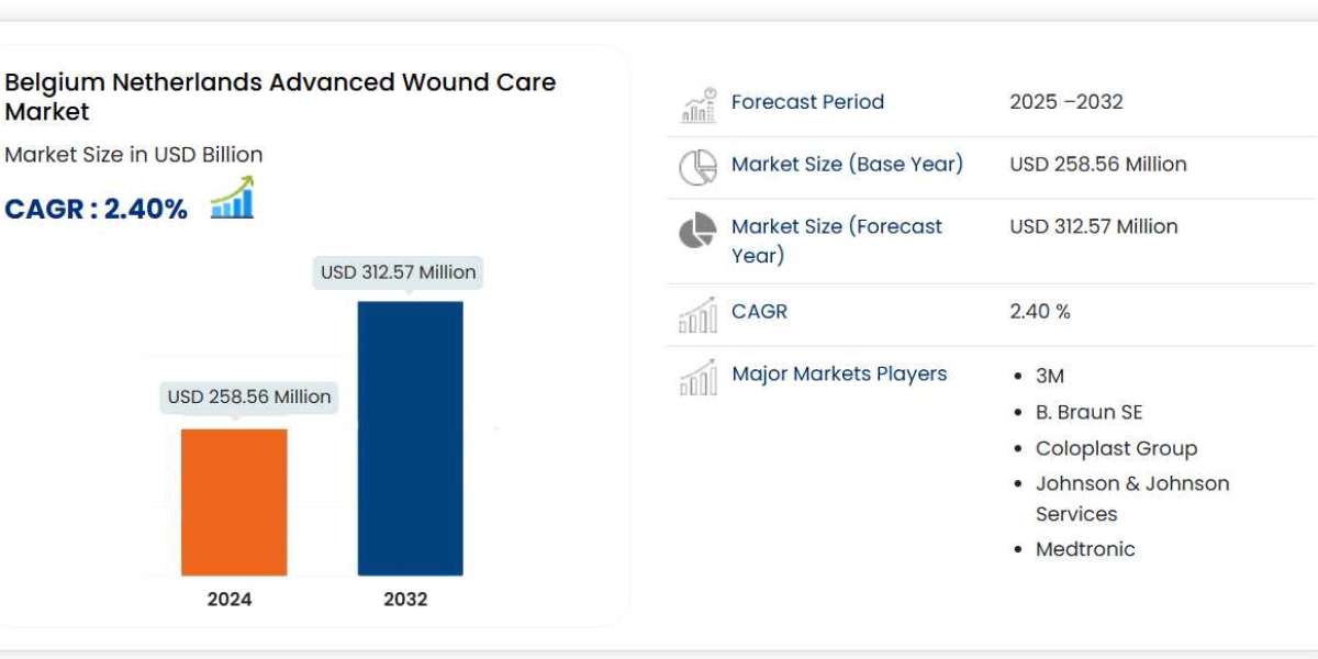 Belgium and Netherlands Advanced Wound Care Market Overview, Growth Analysis, Trends and Forecast By 2032