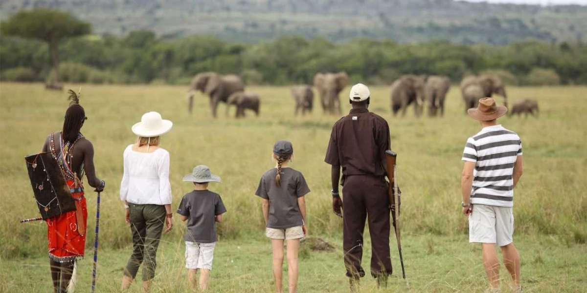 Travel Tips for First-Time Visitors Using a Kenya eTA