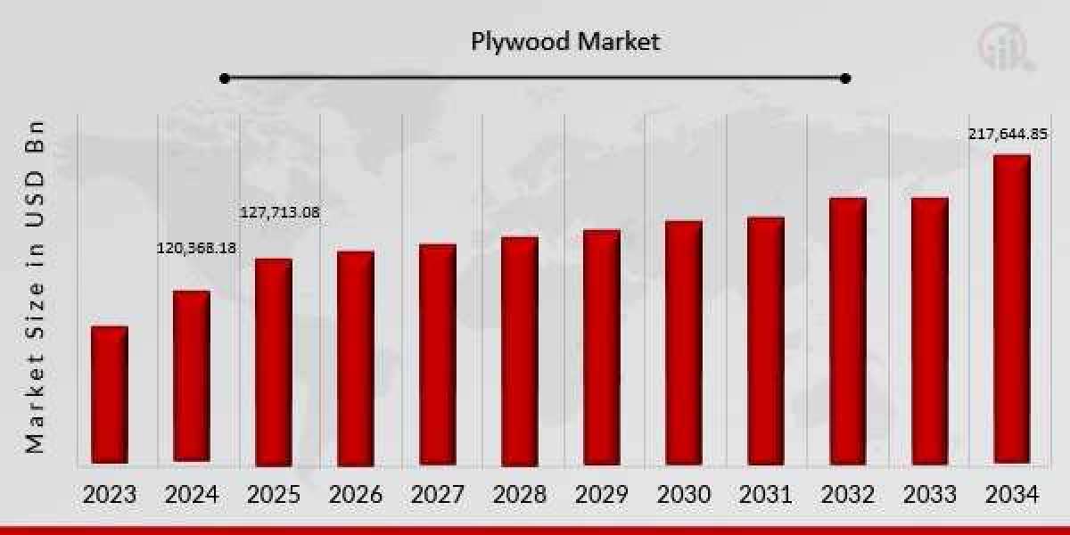 Plywood Market Insights and Growth Dynamics