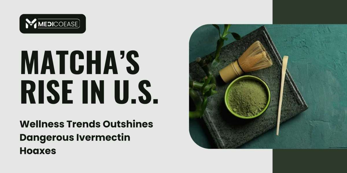Matcha’s Rise in U.S. Wellness Trends Outshines Dangerous Ivermectin Hoaxes