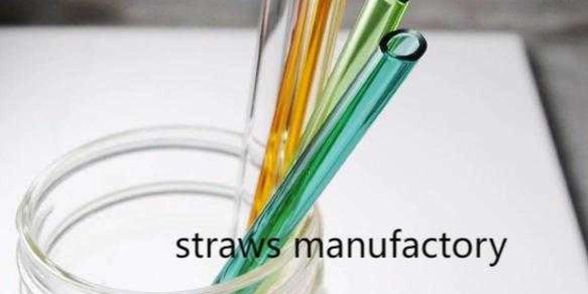 Soton Straws Innovative Biodegradable Straws for Conscious Consumers