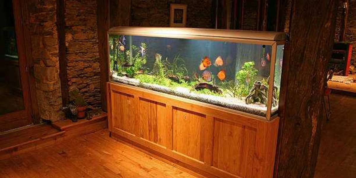 Marine Aquarium Trends Transforming the Industry